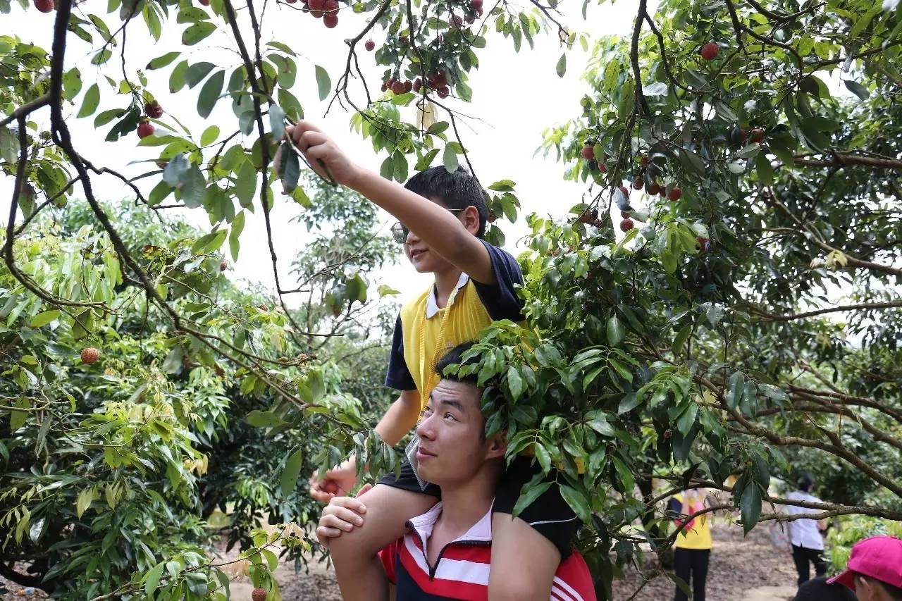 【骏荣学校】第二届夏令营Day4 ——素质第三步：慈善爱心与团队合作